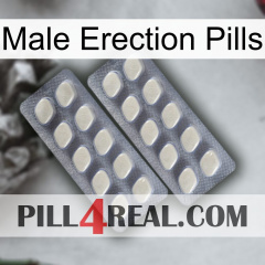 Male Erection Pills 07